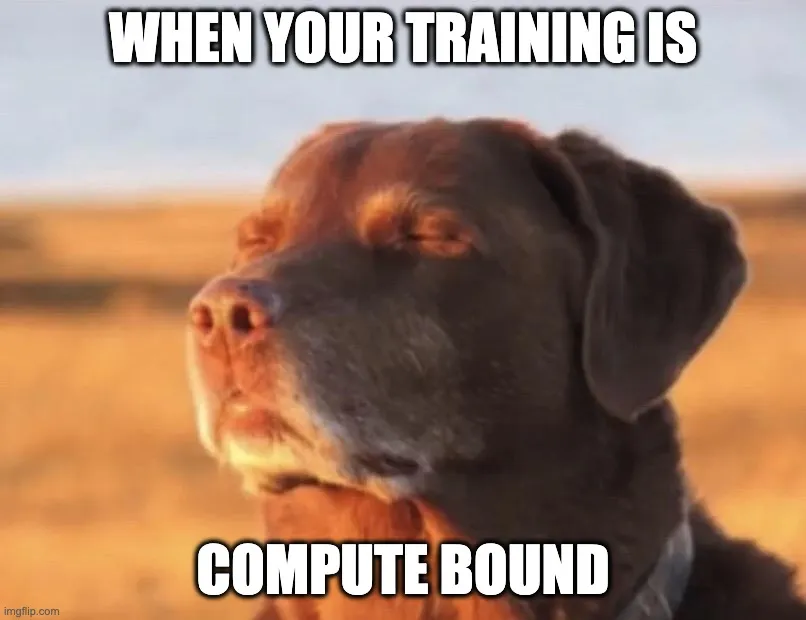 Meme image of an average distributed training enjoyer.